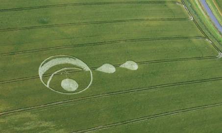    , South Field, Alton Priors, Wiltshire, 15.07.2004 .