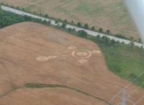 STEWARTTOWN, ONTARIO - JULY 23 - 31, 2003./ wheat, 99 m / 326 f/